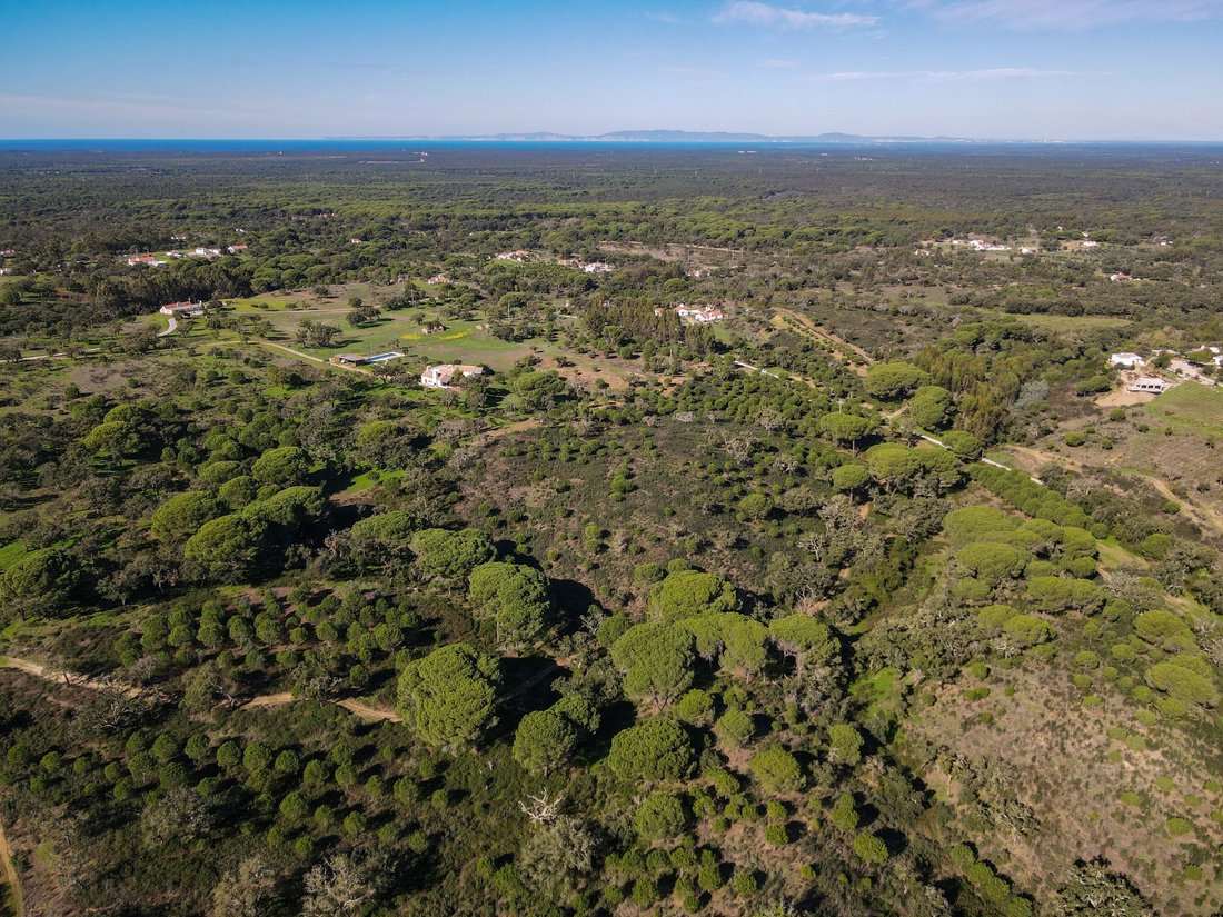 Land in Carvalhal, Setubal, Portugal 4 - 18412668
