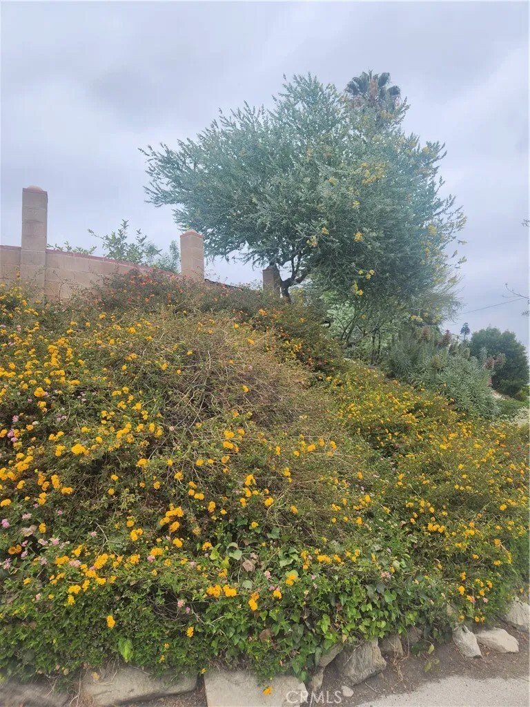 House in Glendale, California, United States 3 - 18414688