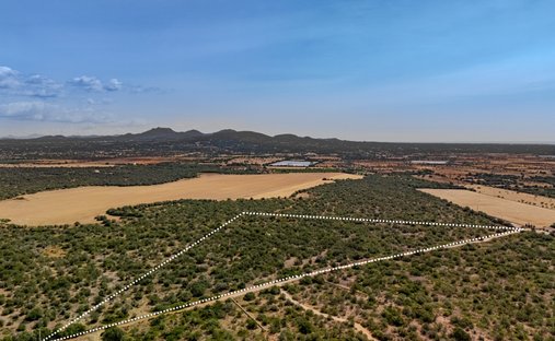 Terrain à Santanyí, Îles Baléares, Espagne 1