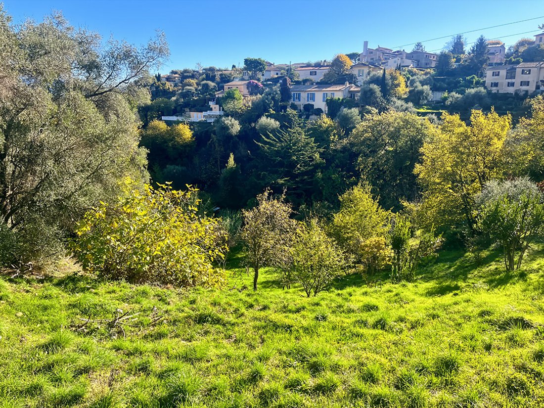 Land in Falicon, Provence-Alpes-Côte d'Azur, France 1 - 18405879