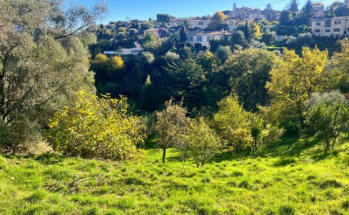 Land in Falicon, Provence-Alpes-Côte d'Azur, France 1