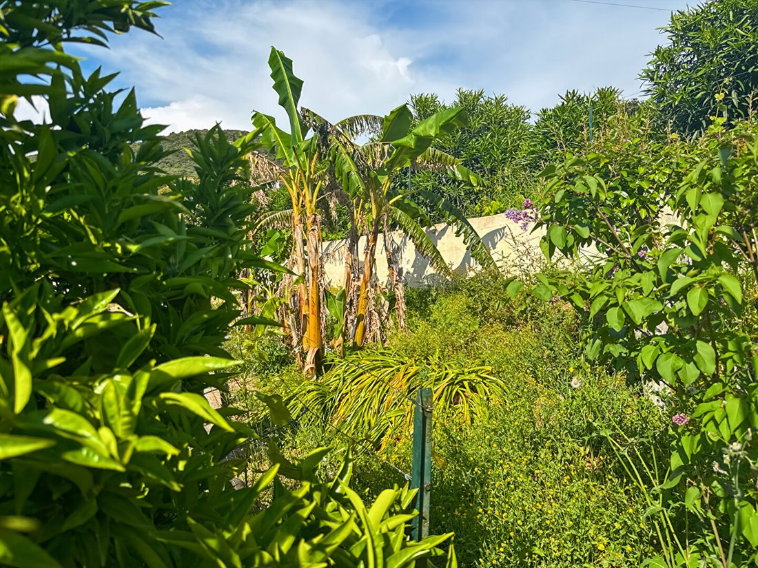 Villa in Coggia, Corsica, France 2 - 18406068
