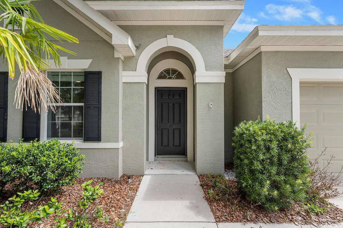 House in Lithia, Florida, United States 5 - 18405134