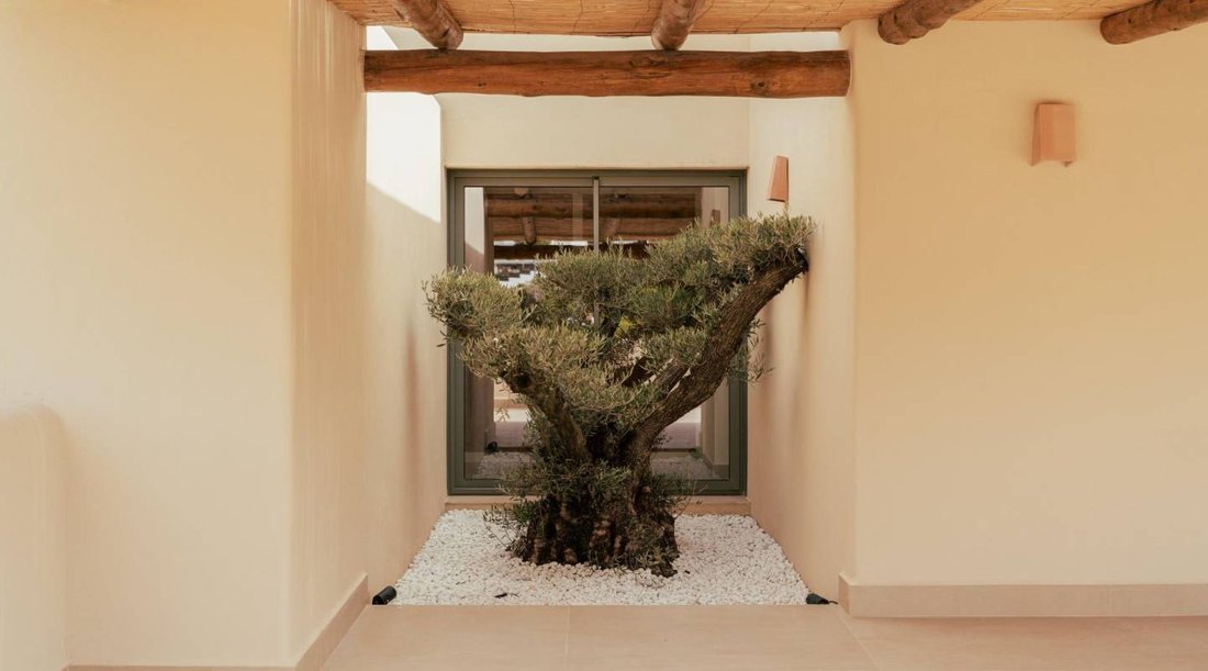 Villa in Xabia / Javea, Valencian Community, Spain 5 - 16764987