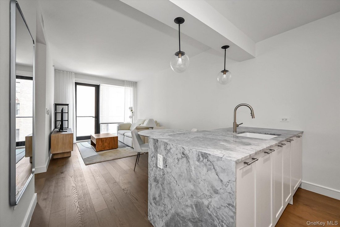 Condo in New York, New York, United States 1 - 18409145