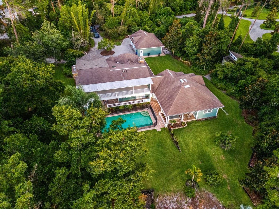 House in Palm Harbor, Florida, United States 3 - 18414673