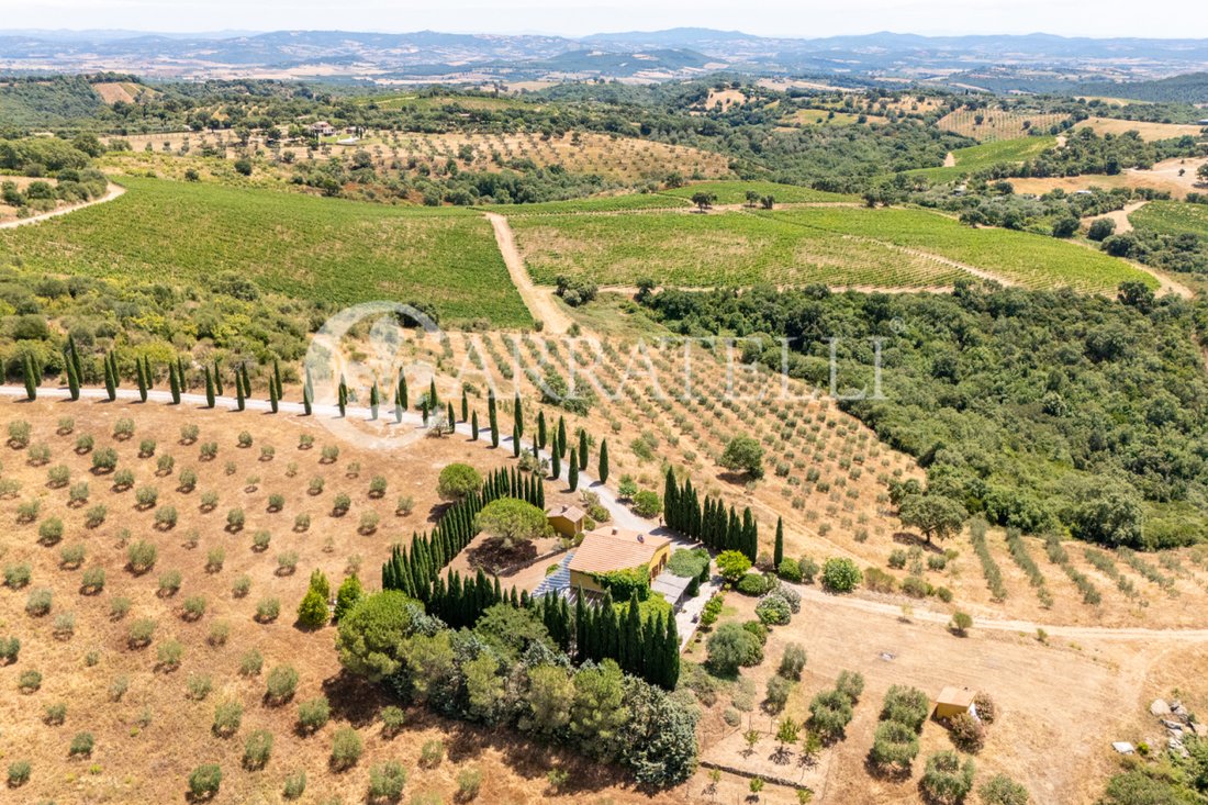 Country House in Magliano in Toscana, Tuscany, Italy 3 - 18407647