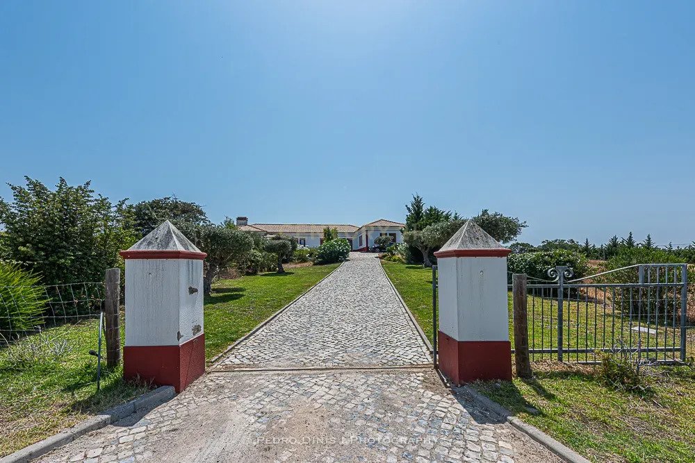 Farm Ranch in Palmela, Setubal, Portugal 5 - 18411946