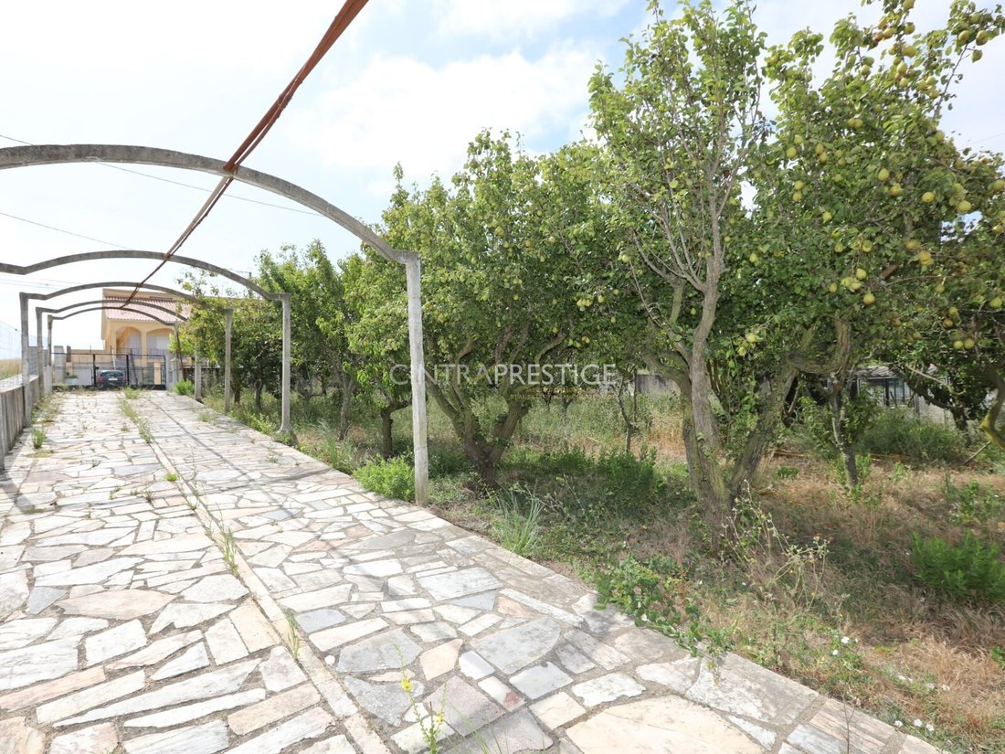 House in Almargem do Bispo, Lisbon, Portugal 3 - 18404889