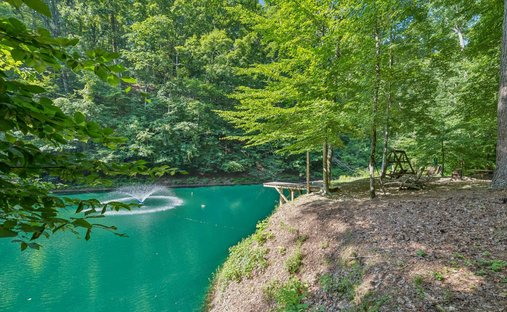 House in Hampshire, Tennessee, United States 1