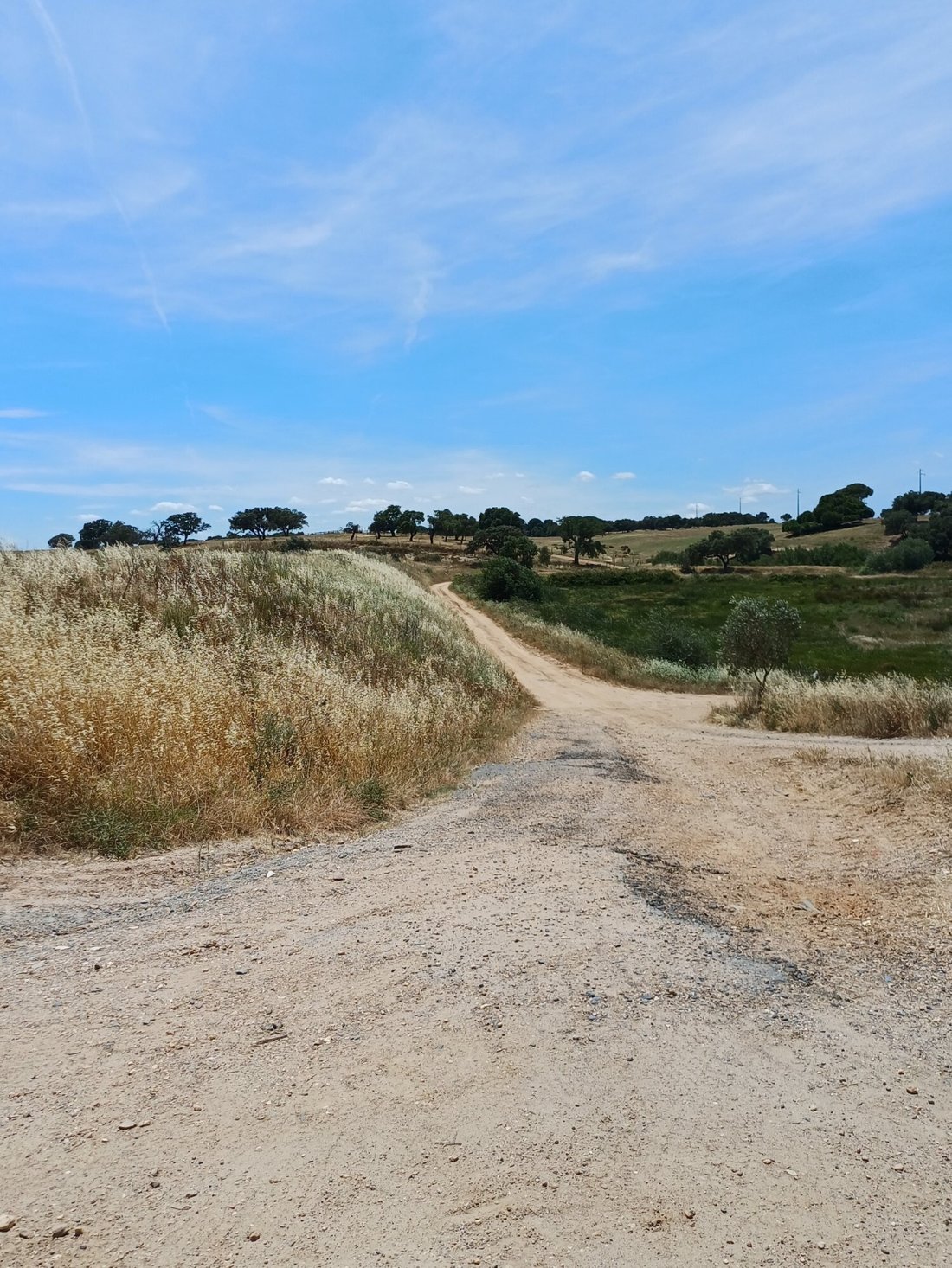 Land in Sao Joao de Negrilhos, Beja District, Portugal 4 - 18412710