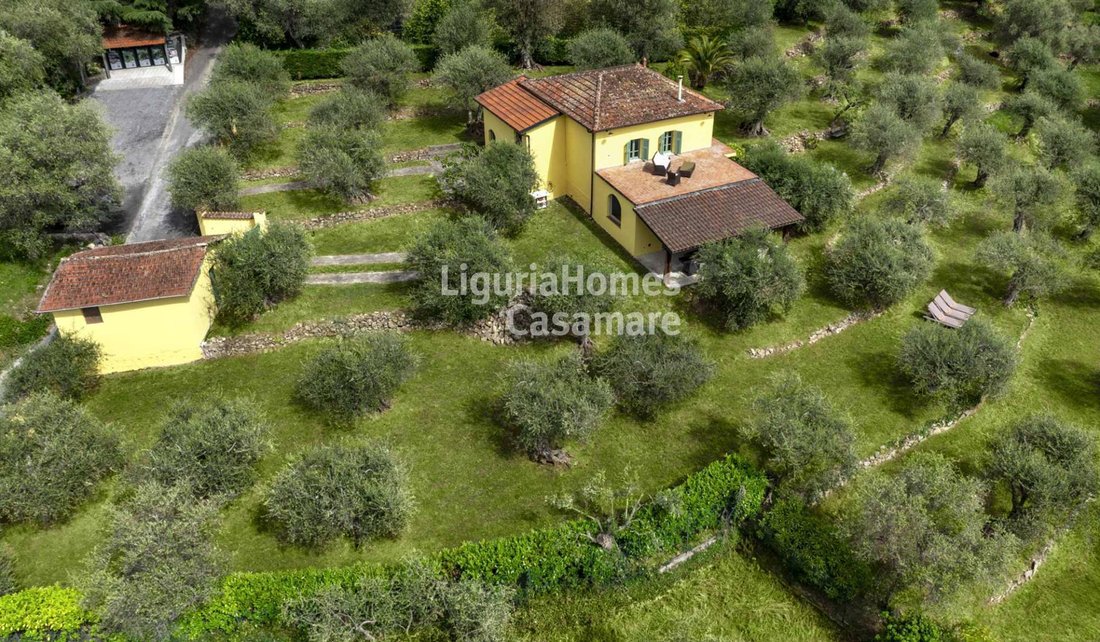 Villa in Soldano, Liguria, Italy 3 - 18415170