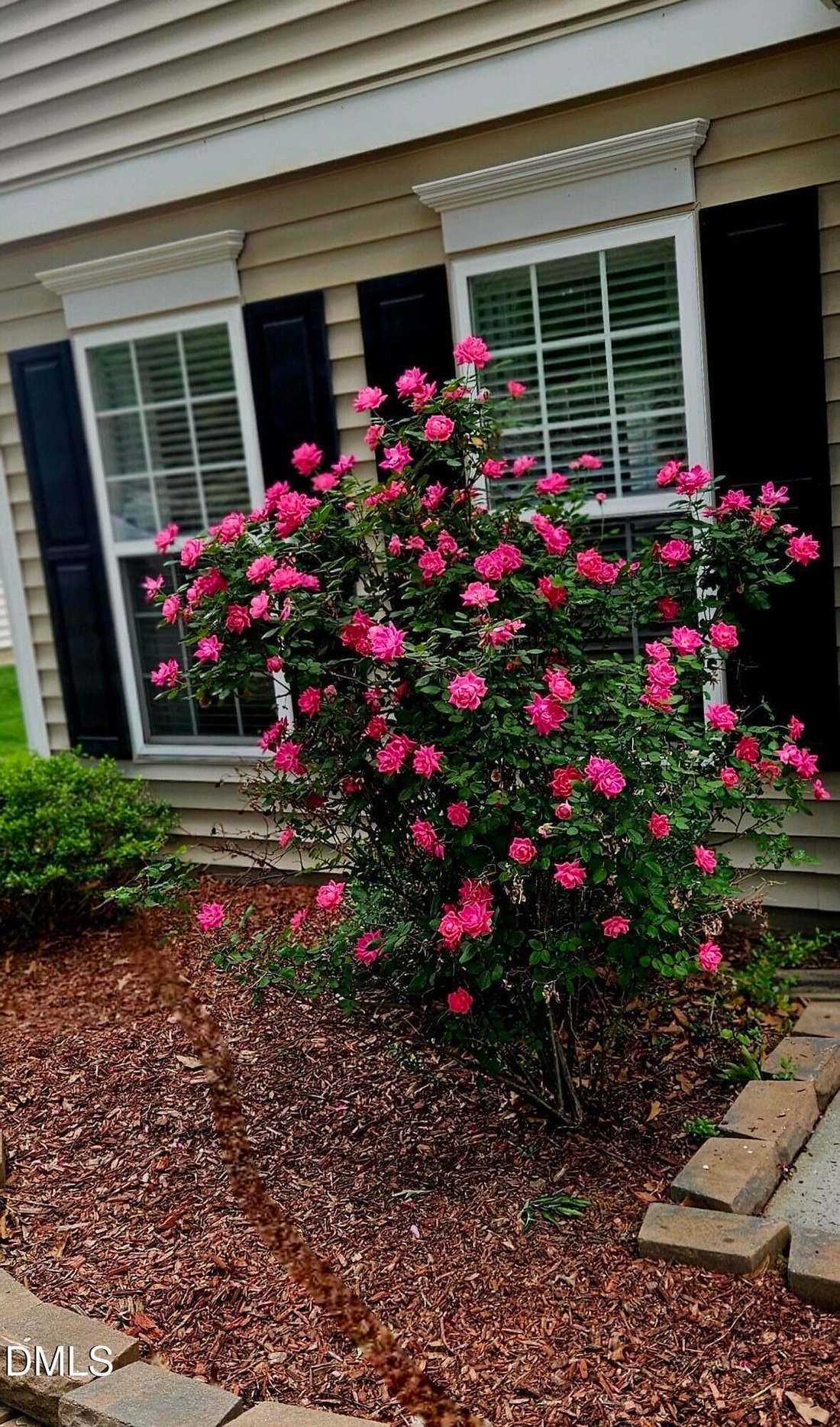 House in Raleigh, North Carolina, United States 5 - 18413313