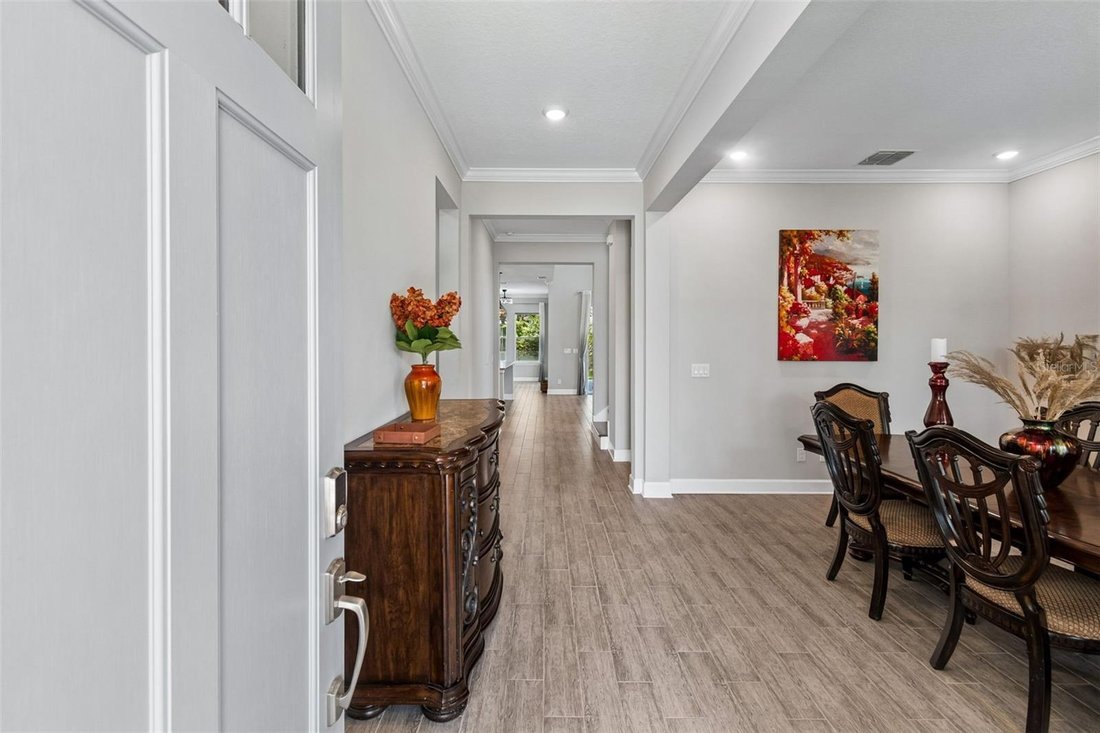 House in Tarpon Springs, Florida, United States 3 - 18413279