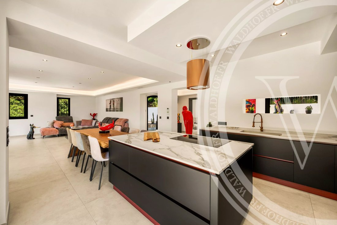 Villa in Nord, Roquefort-les-Pins, France 4 - 18405153