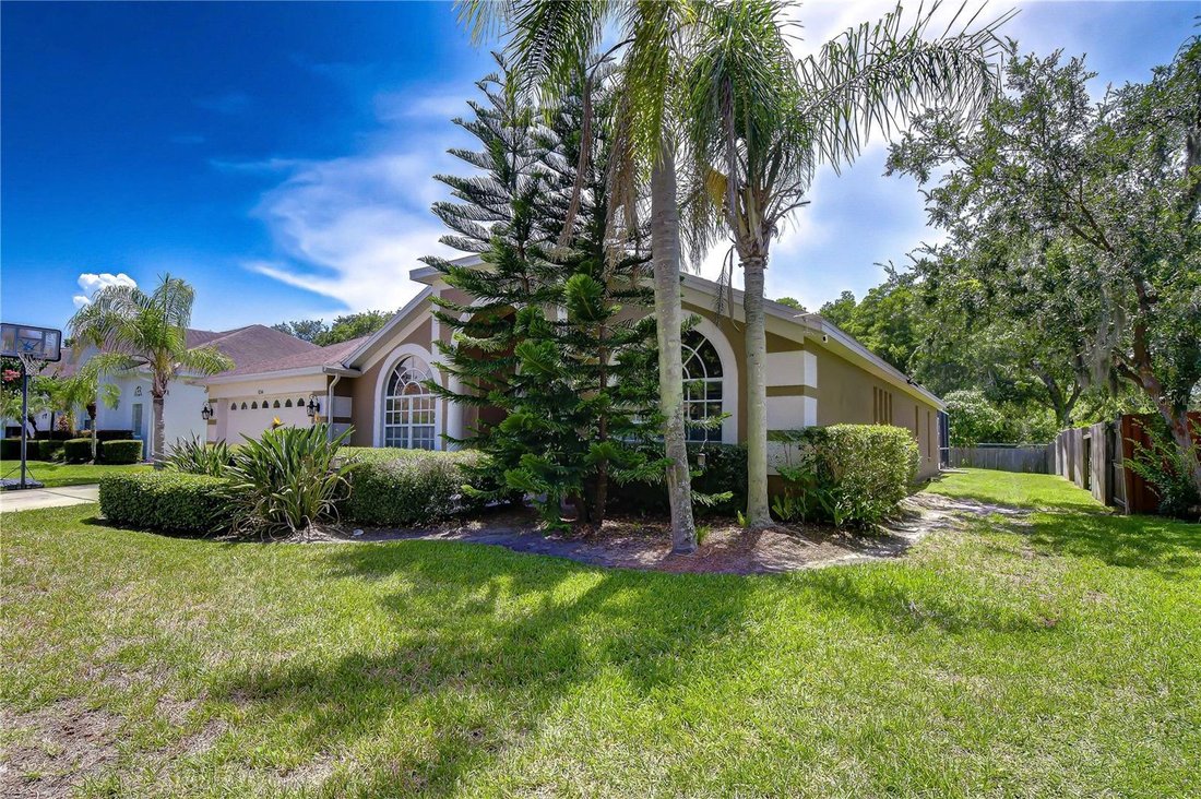 House in Odessa, Florida, United States 2 - 18414681