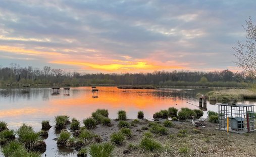 Land in Clémont, Centre-Val de Loire, France 1