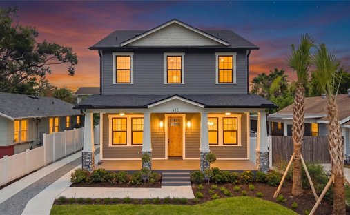 House in Tampa, Florida, United States 1