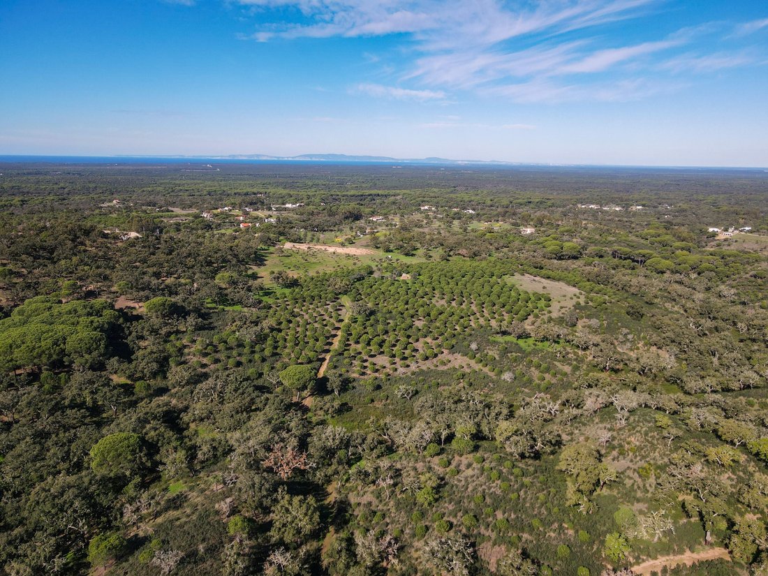 Land in Carvalhal, Setubal, Portugal 1 - 18412668