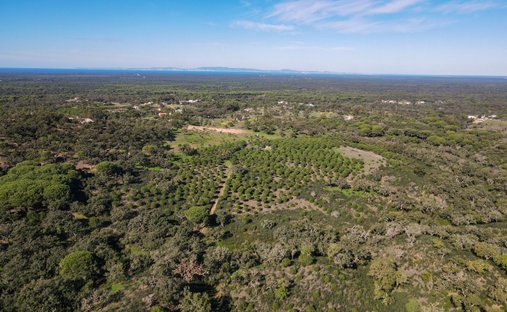 Land in Carvalhal, Setubal, Portugal 1