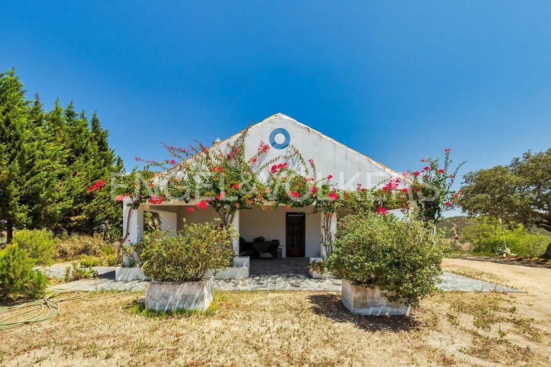 Finca in Grandola e Santa Margarida da Serra, Setubal, Portugal 1 - 18412502