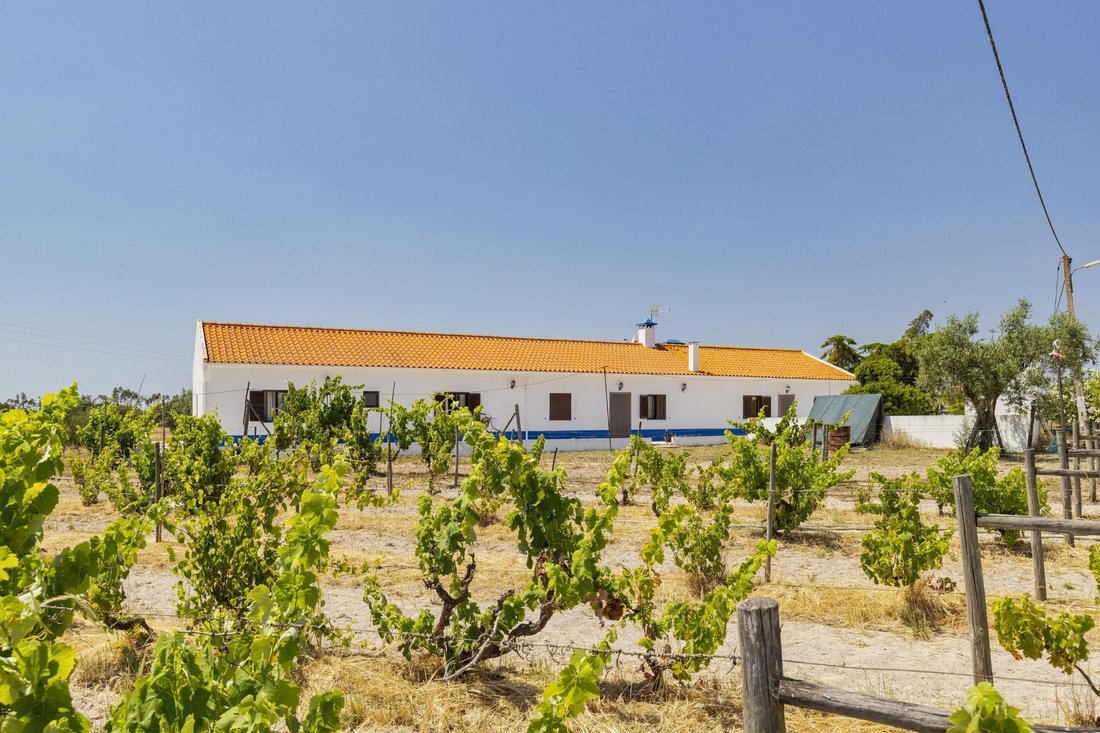 House in Grandola e Santa Margarida da Serra, Setubal, Portugal 1 - 18412438