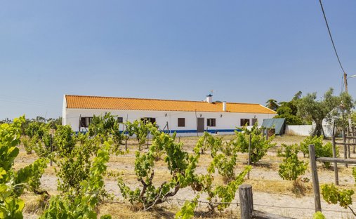Maison à Grandola et Santa Margarida da Serra, Setúbal Municipality, Portugal 1