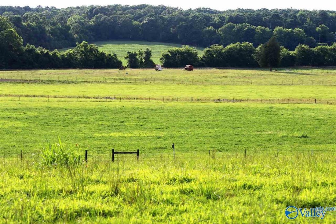 Farm Ranch in Decatur, Alabama, United States 4 - 18407237