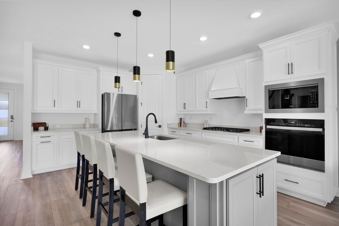 House in Middleburg, Florida, United States 5 - 18406345