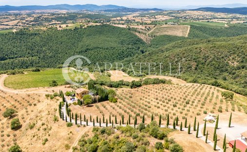 Country House in Magliano in Toscana, Tuscany, Italy 1