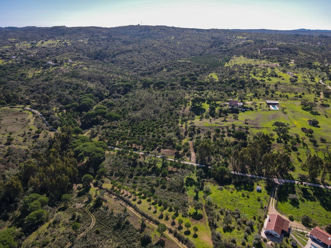 Land in Carvalhal, Setubal, Portugal 2 - 18412668