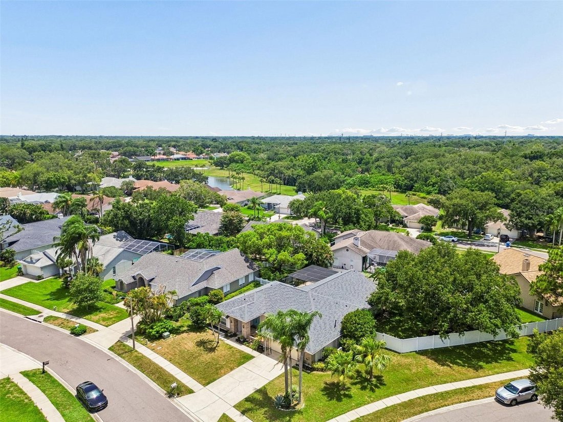 House in Palm Harbor, Florida, United States 4 - 18407824