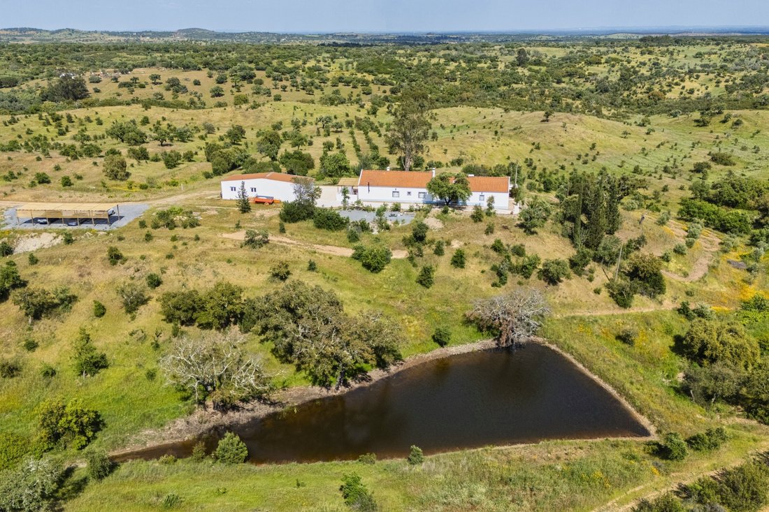 House in Grandola e Santa Margarida da Serra, Setubal, Portugal 3 - 18412594