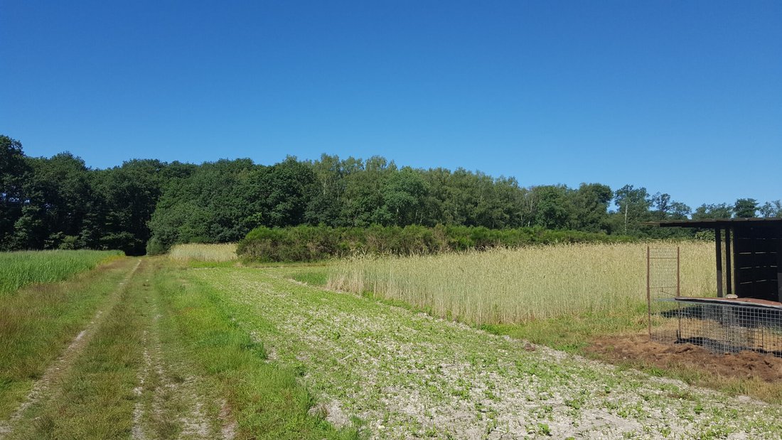 Land in Clémont, Centre-Val de Loire, France 2 - 18405963