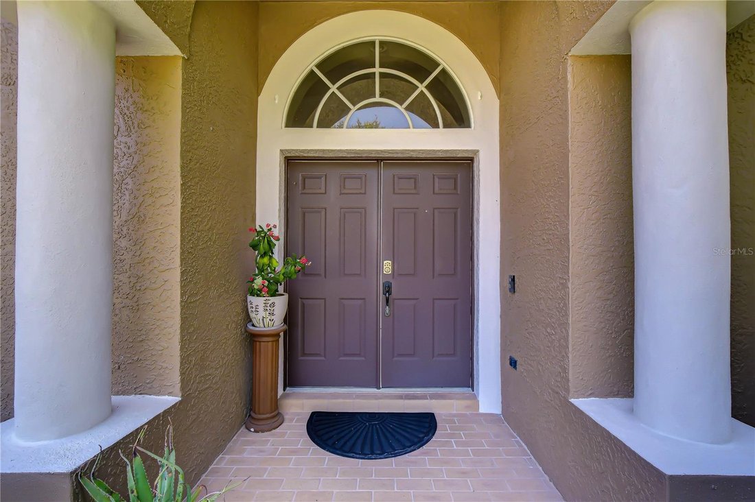 House in Odessa, Florida, United States 3 - 18414681