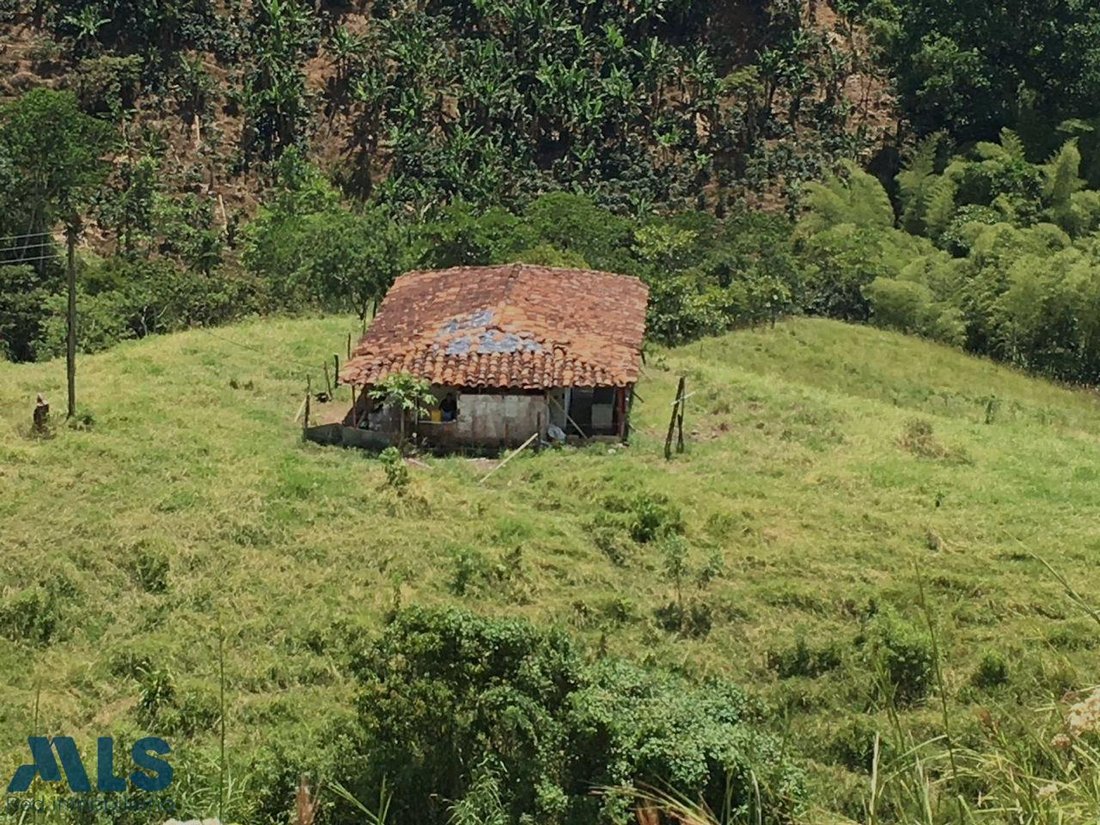 Finca in Andes, Andes, Colombia 1 - 18411721