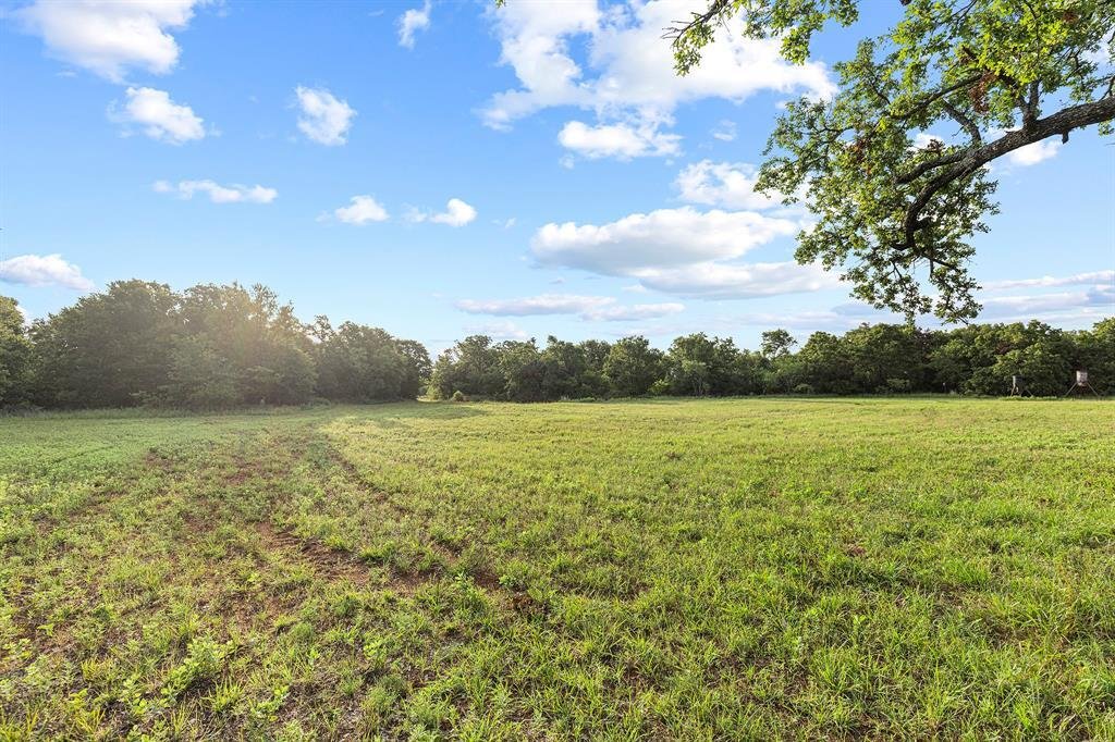 Farm Ranch in Jacksboro, Texas, United States 3 - 18411506