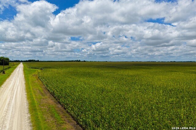 Farm Ranch in Bartlett, Texas, United States 4 - 18417997