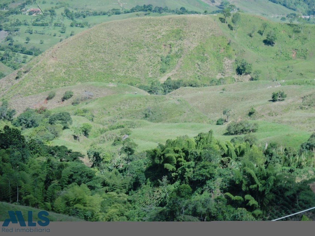 Finca in Andes, Andes, Colombia 2 - 18411721