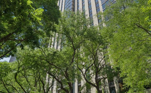 Condominio a Chicago, Illinois, Stati Uniti 1
