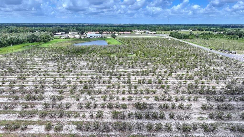 Land in Dundee, Florida, United States 4 - 18409439