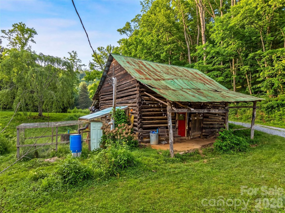 House in Leicester, North Carolina, United States 5 - 17124247