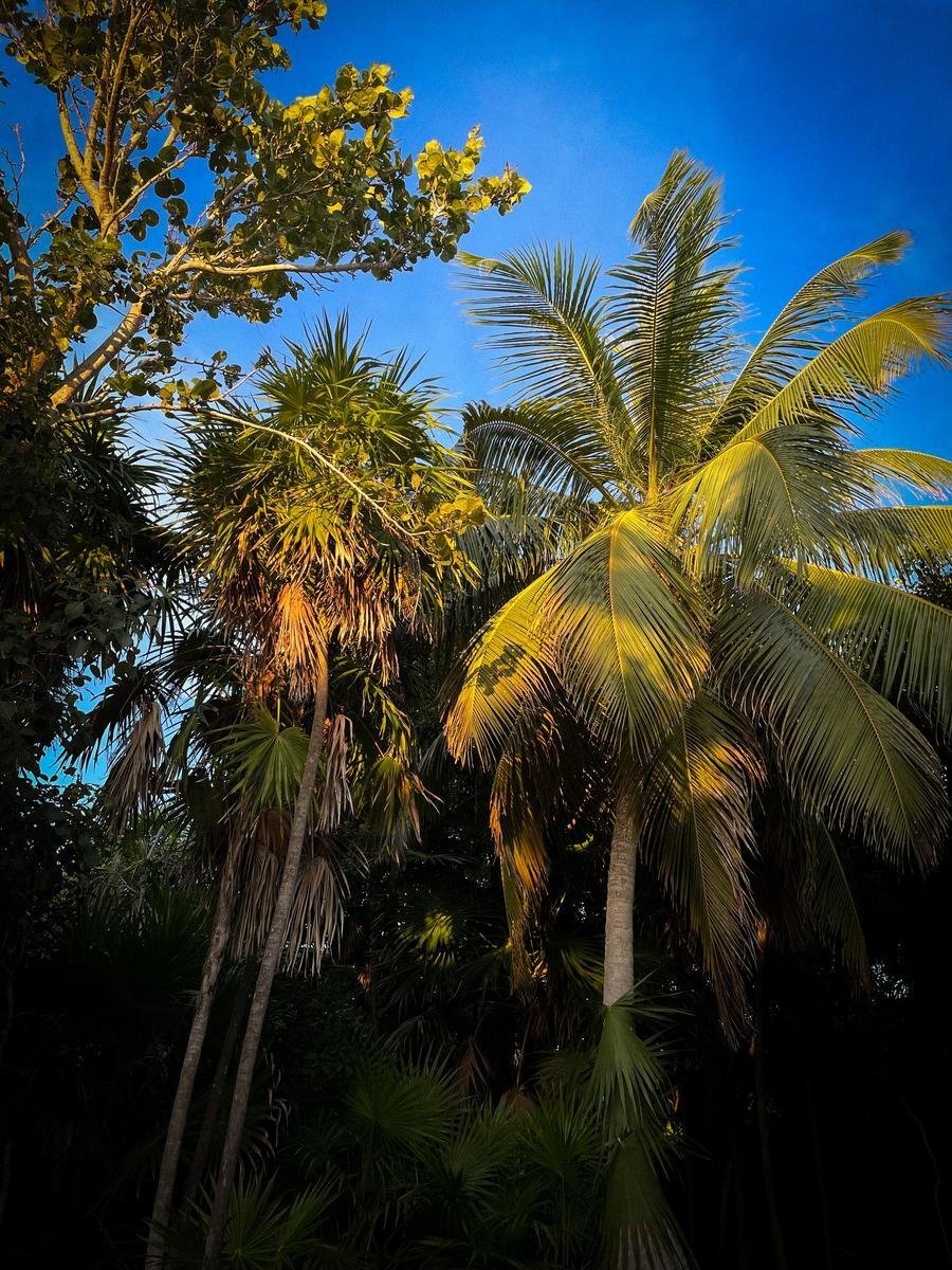 Villa in Tulum, Quintana Roo, Mexico 5 - 18404643