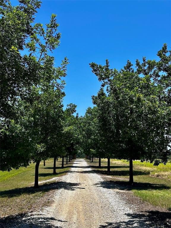 Farm Ranch in Cross Plains, Texas, United States 2 - 18408881
