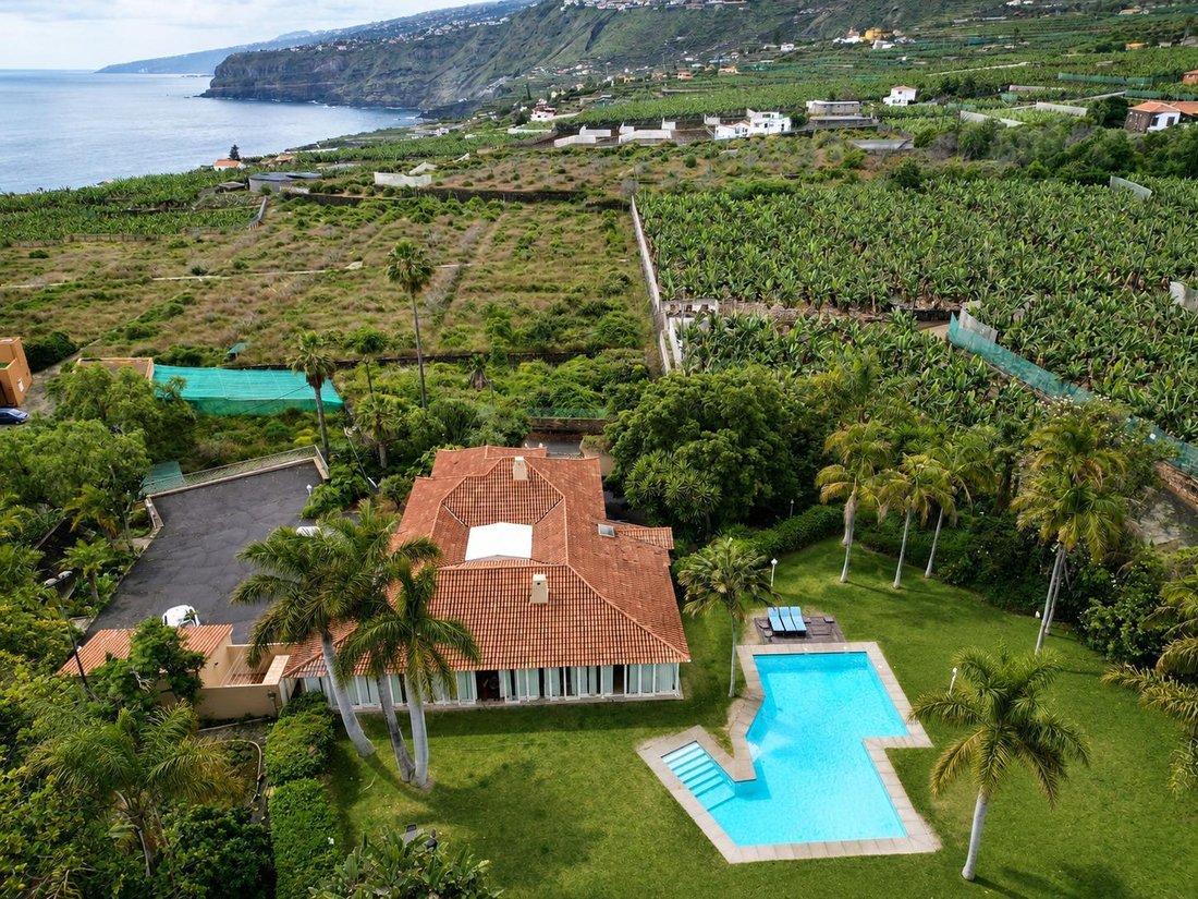 Villa in Puerto de la Cruz, Canary Islands, Spain 1 - 17981835