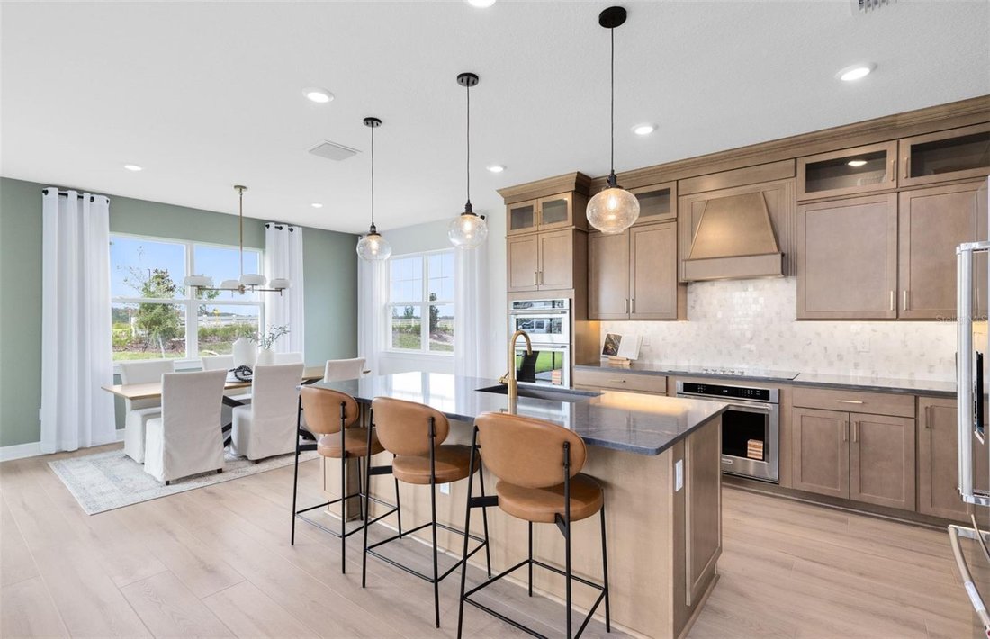 House in Zephyrhills, Florida, United States 3 - 18407828