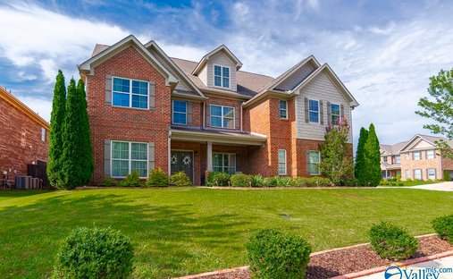 House in Madison, Alabama, United States 1