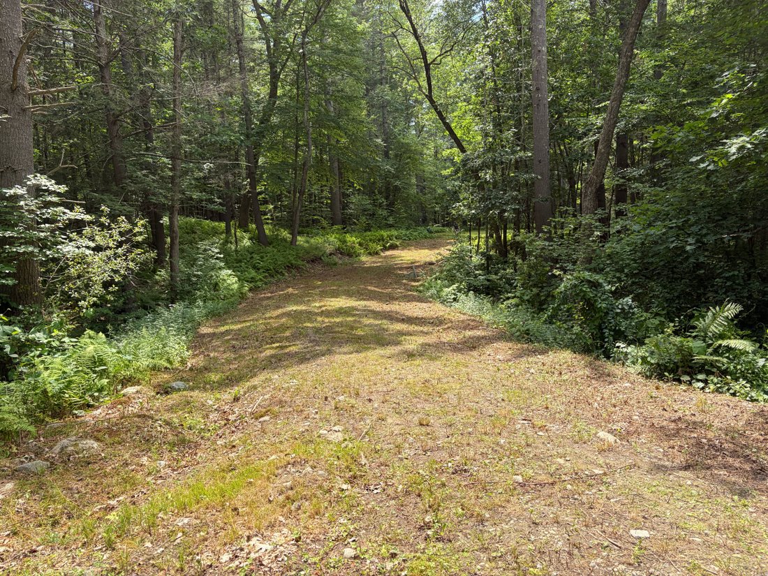 Land in Carlisle, Massachusetts, United States 5 - 18411790
