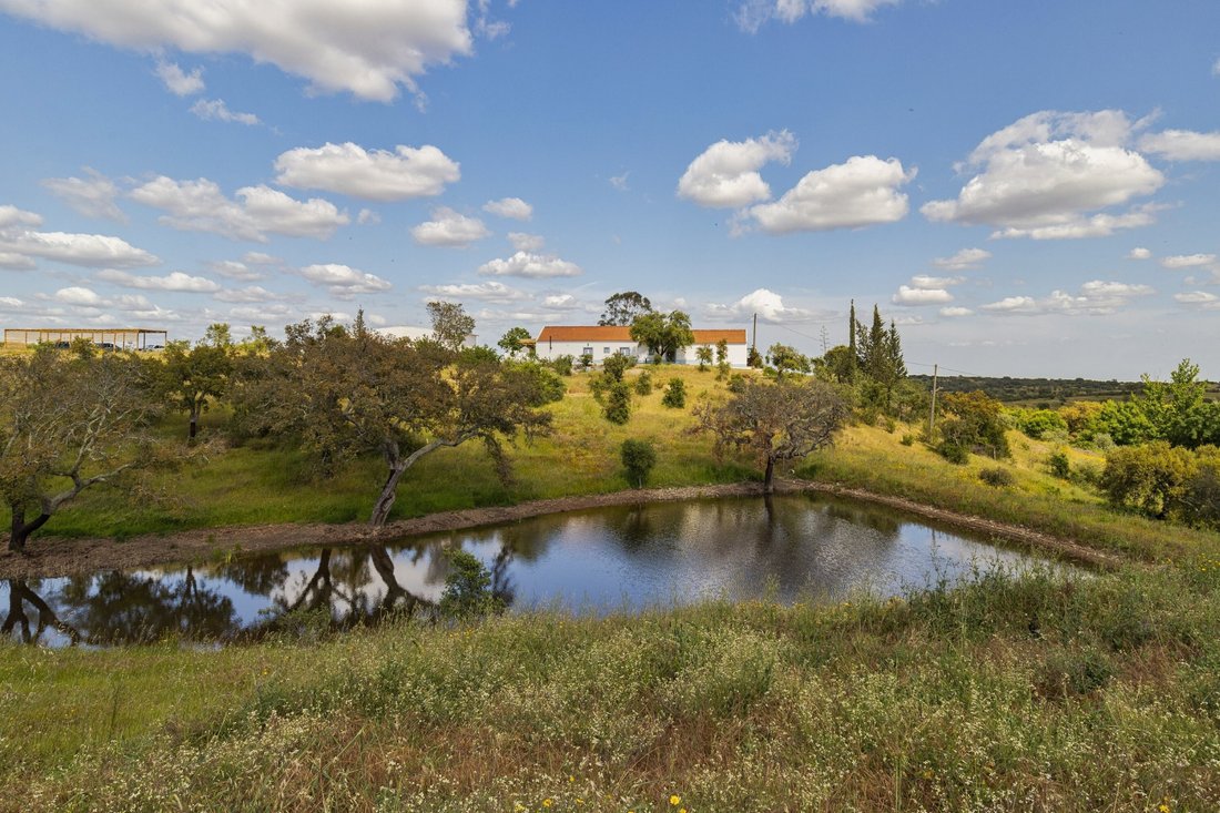 House in Grandola e Santa Margarida da Serra, Setubal, Portugal 1 - 18412594