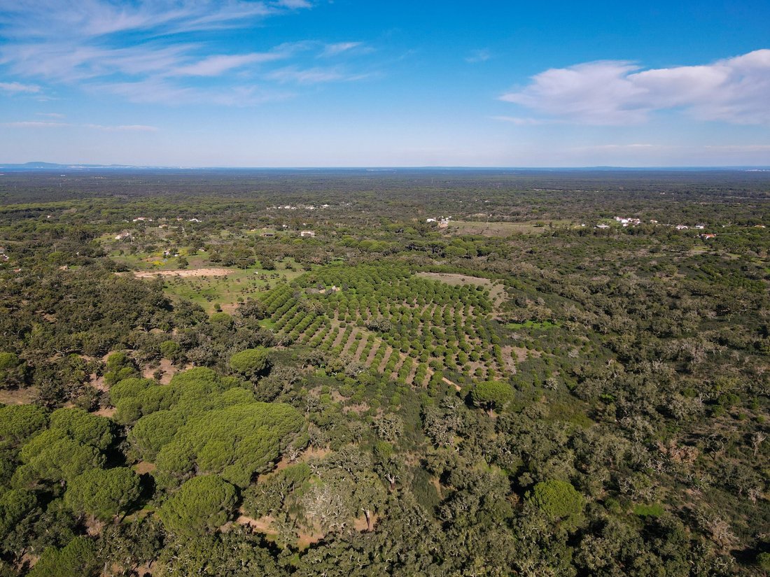 Land in Carvalhal, Setubal, Portugal 5 - 18412668